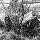 The O,Meath VCP Proxy Bomb A Coy 1RGJ 1975 (24) Jpg