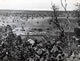 Somewhere In Kenya1955