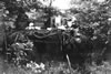 22. 1952 Summer Reinsehlen. Well Hid!